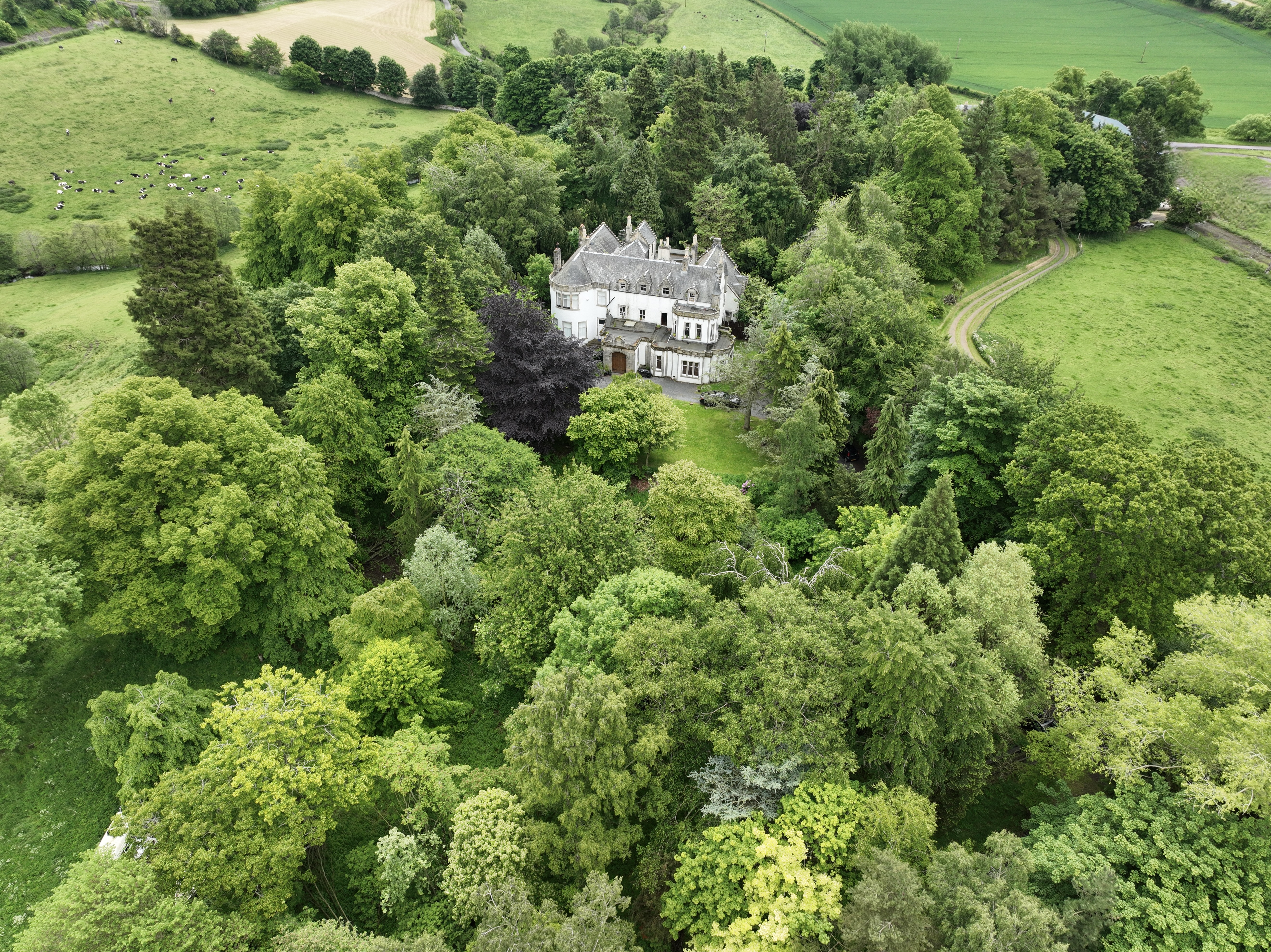 Harvieston Hall seen from above among mature trees.